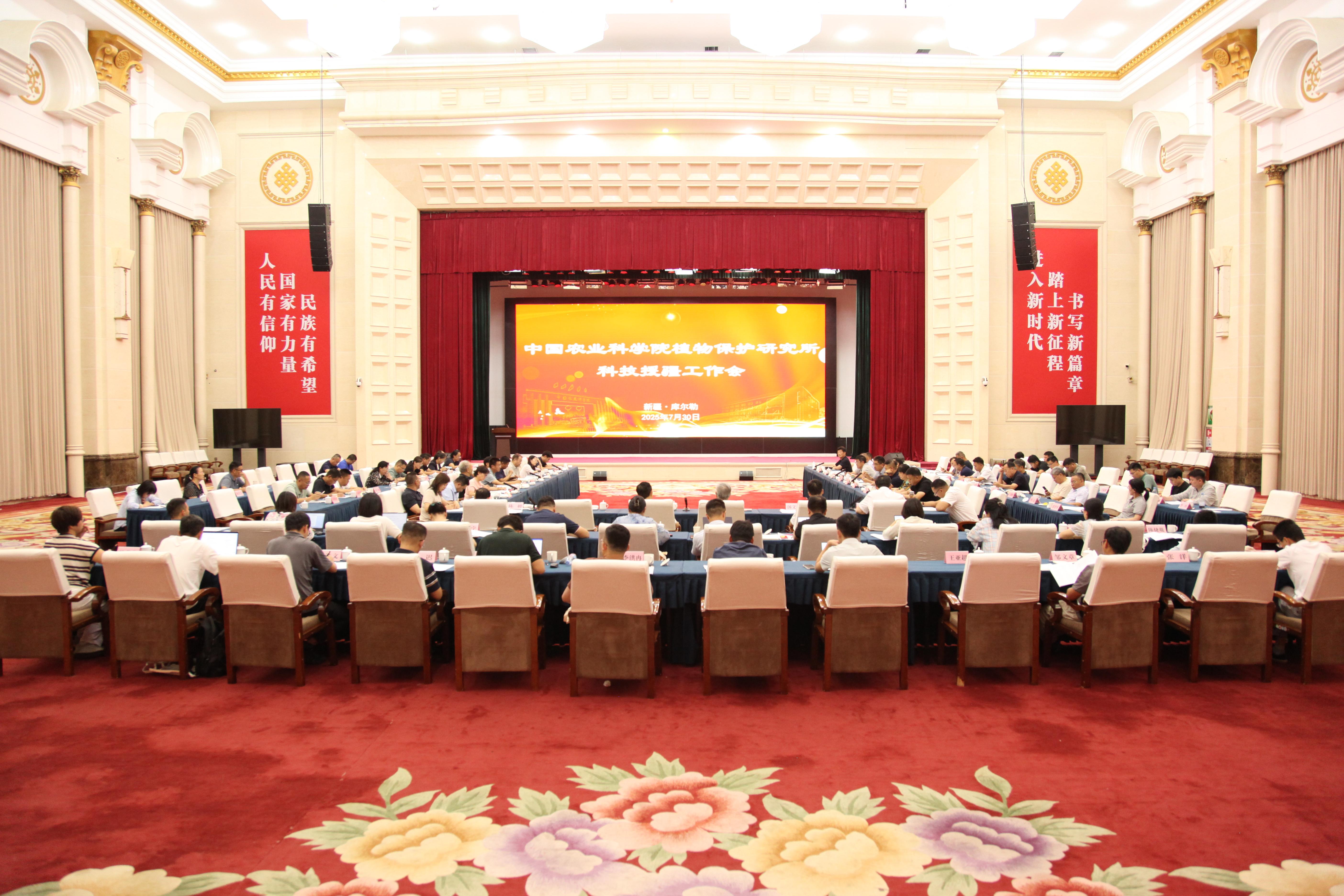 379077_cd9d29b5-b799-4ebd-80e1-bac78b624bd6copy.jpg